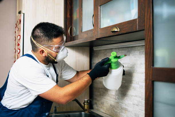 Best Spider Control Near Me  in Palm Shores, FL