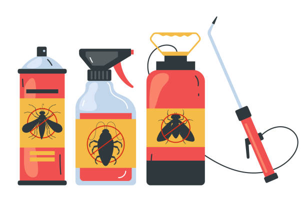 Best Affordable Pest Control Services  in Palm Shores, FL