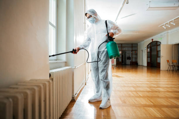 Best Emergency Pest Control  in Palm Shores, FL